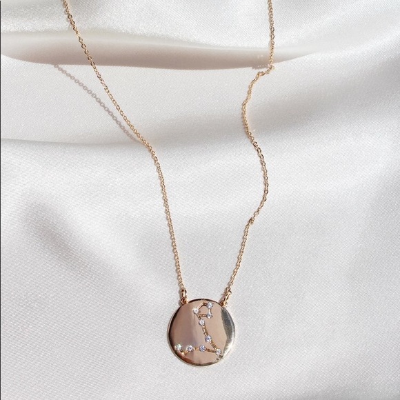 Brandy Melville Jewelry - LAST ONE Pisces Zodiac Constellation Necklace